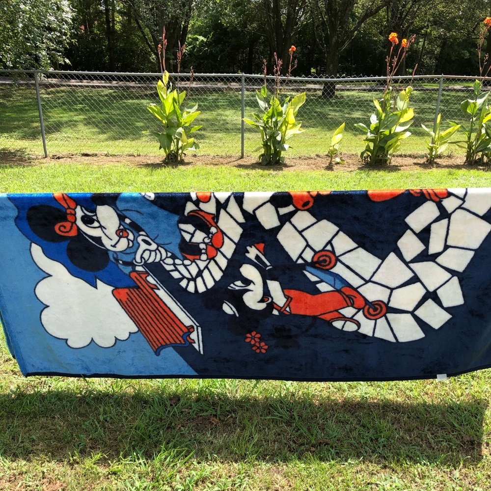 Mickey and Minnie Mouse Blanket